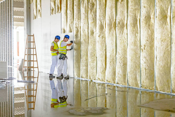 Best Insulation for Specific Applications in Cockeysville, MD